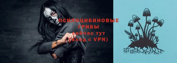 винт Мегион