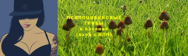 mdma Медногорск