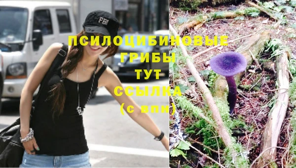 винт Мегион