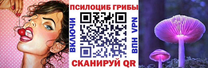 blacksprut зеркало  Энгельс  Псилоцибиновые грибы GOLDEN TEACHER 